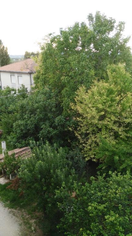 Il Giardino Del Gallo 폴리뇨 객실 사진