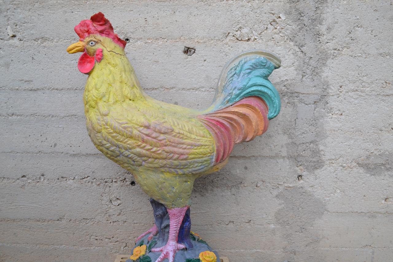 Il Giardino Del Gallo 폴리뇨 외부 사진